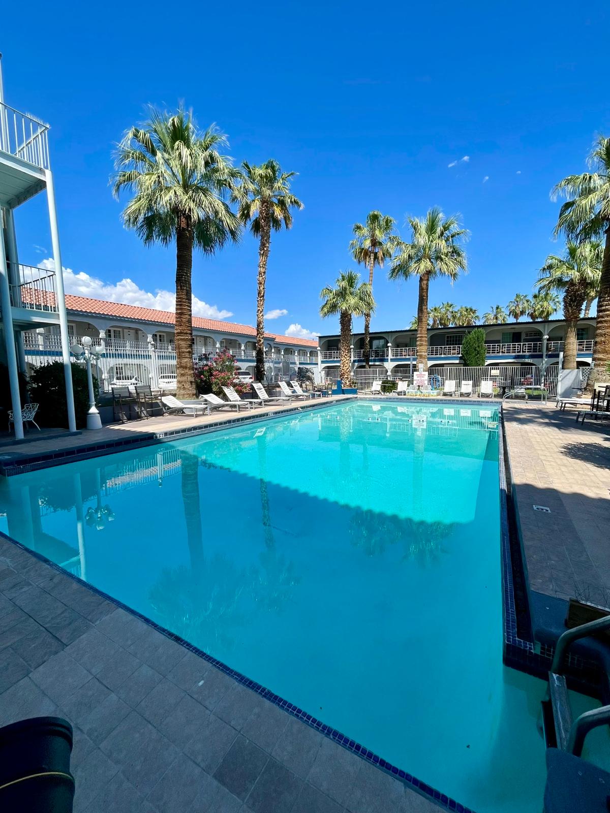 A swimming pool with lounge chairs and palm trees