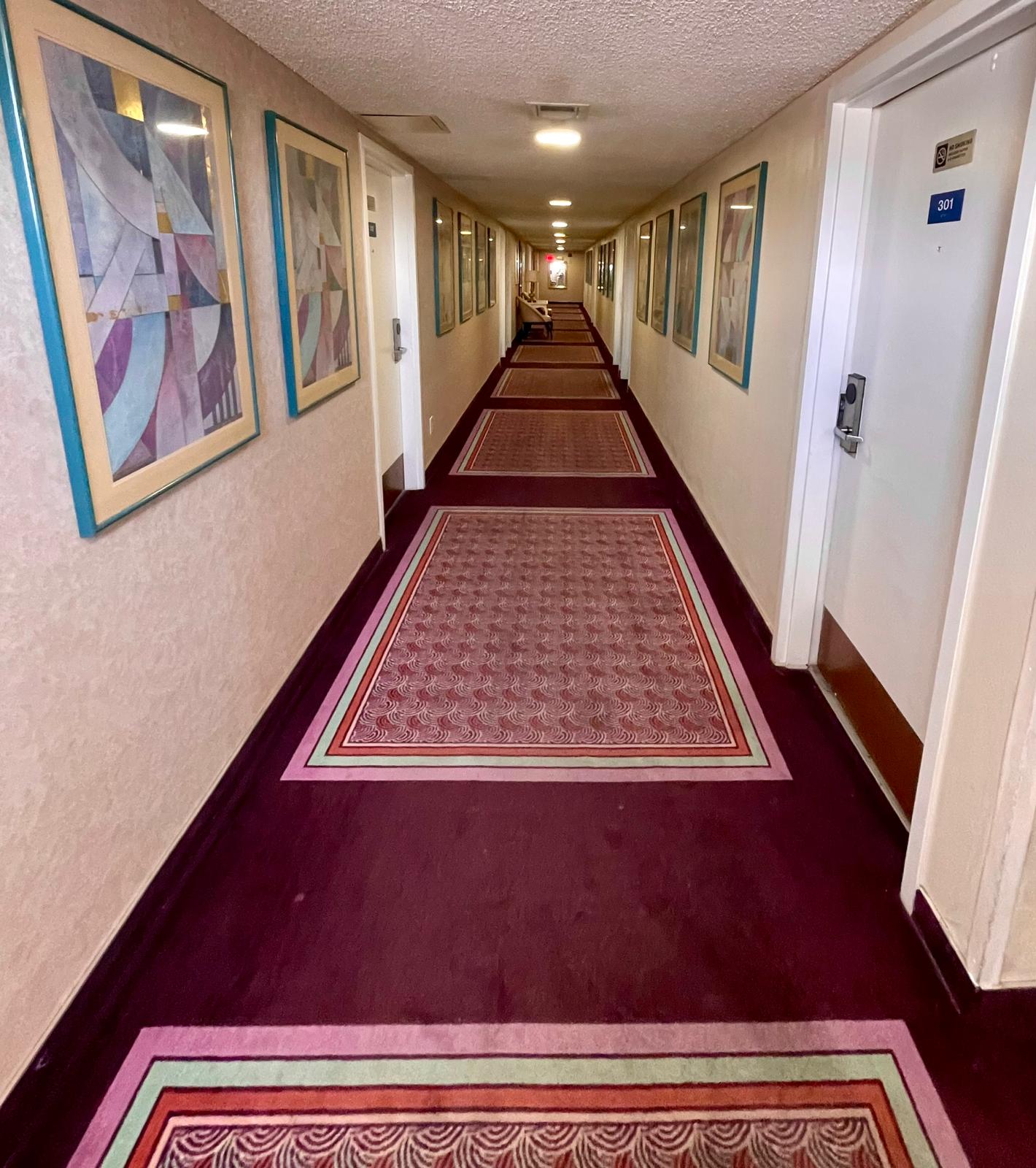 The Shalimar Hotel — photo 4