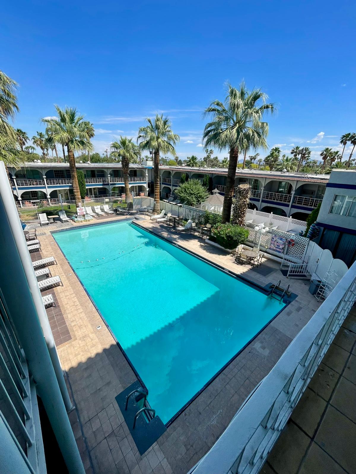 A large rectangular pool surrounded by lounge chairs and palm trees, with a multi-story building in the background.